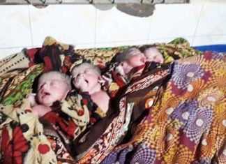 একসঙ্গে চার সন্তানের জন্ম দিয়েছেন এক মা একসঙ্গে চার সন্তানের জন্ম দিয়েছেন এক মা