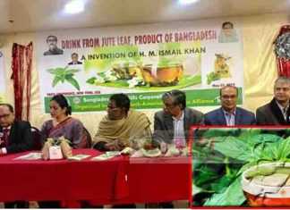 নতুন আবিষ্কার পাট পাতায় উৎপাদন হবে চা নতুন আবিষ্কার পাট পাতায় উৎপাদন হবে চা