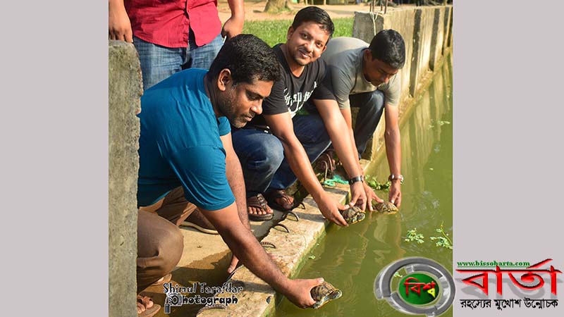 শ্রীমঙ্গলে তিনটি কচ্ছপ অবমুক্ত শ্রীমঙ্গলে তিনটি কচ্ছপ অবমুক্ত