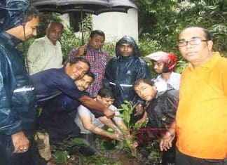 শ্রীমঙ্গলে বীজ বপন ও বৃক্ষ রোপন কর্মসূচী পালিত শ্রীমঙ্গলে বীজ বপন ও বৃক্ষ রোপন কর্মসূচী পালিত