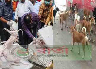 হোটেলে নেওয়া পথে ১১০০ কেজি কুকুরের মাংস আটক হোটেলে নেওয়া পথে ১১০০ কেজি কুকুরের মাংস আটক