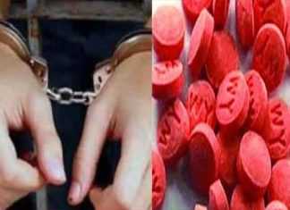 ৯০পিছ ইয়াবাসহ দুই ব্যবসায়ী আটক – কমলগঞ্জ ৯০পিছ ইয়াবাসহ দুই ব্যবসায়ী আটক