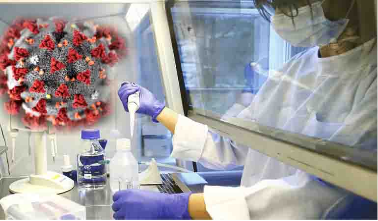 করোনা চিকিৎসায় ইতিবাচক ফল পাওয়া যাচ্ছে- বিশ্ব স্বাস্থ্য সংস্থা করোনা চিকিৎসায় ইতিবাচক ফল পাওয়া যাচ্ছে- বিশ্ব স্বাস্থ্য সংস্থা