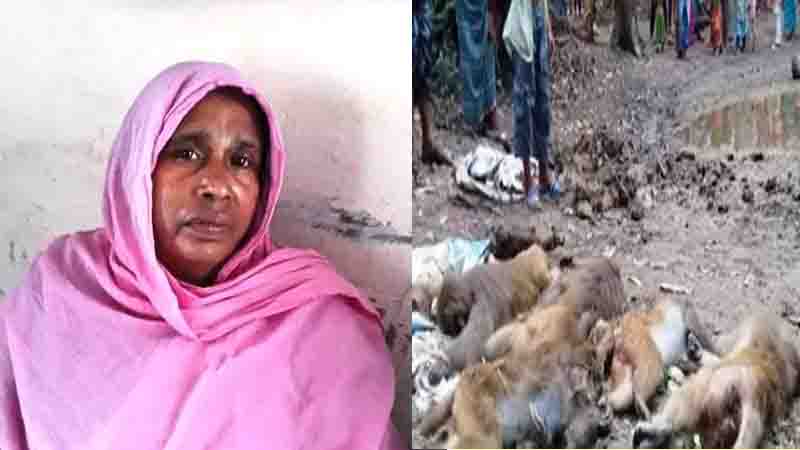মাদারীপুরে খাবারে সাথে বিষ মিশিয়ে বানর হত্যার আসামি কারাগারে মাদারীপুরে খাবারে সাথে বিষ মিশিয়ে বানর হত্যার আসামি কারাগারে