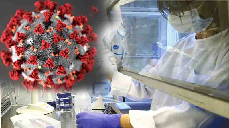 প্রাণঘাতী করোনাভাইরাস থেকে এখনো মুক্ত একটি মহাদেশ প্রাণঘাতী করোনাভাইরাস থেকে এখনো মুক্ত একটি মহাদেশ