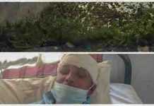 কমলগঞ্জে দখলকৃত জমির উপর পুনরায় রাস্তা সংস্কার নিয়ে দুই পক্ষের সংঘর্ষ: আহত ৬ কমলগঞ্জে দখলকৃত জমির উপর পুনরায় রাস্তা সংস্কার নিয়ে দুই পক্ষের সংঘর্ষ: আহত ৬