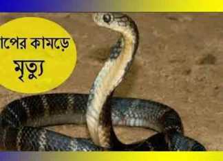 রানীশংকৈলে বিষাক্ত সাপের কামড়ে ছাত্রীর মৃত্যু রানীশংকৈলে বিষাক্ত সাপের কামড়ে ছাত্রীর মৃত্যু