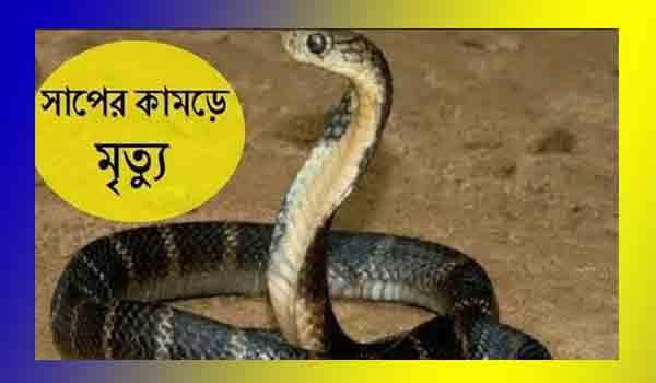 রানীশংকৈলে বিষাক্ত সাপের কামড়ে ছাত্রীর মৃত্যু রানীশংকৈলে বিষাক্ত সাপের কামড়ে ছাত্রীর মৃত্যু