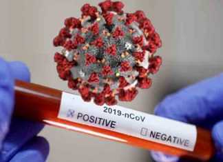 সচিবালয়ে ৯১ কর্মকর্তা-কর্মচারী শরীরের করোনাভাইরাস সনাক্ত সচিবালয়ে ৯১ কর্মকর্তা-কর্মচারী শরীরের করোনাভাইরাস সনাক্ত