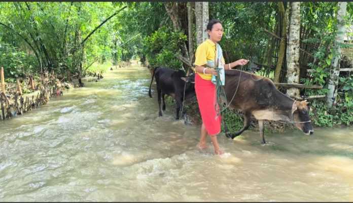 কালবৈশাখী ঝড় ও অতিবৃষ্টির ফলে বন্যায় তলিয়ে গেছে ফসল ও ঘরবাড়ি