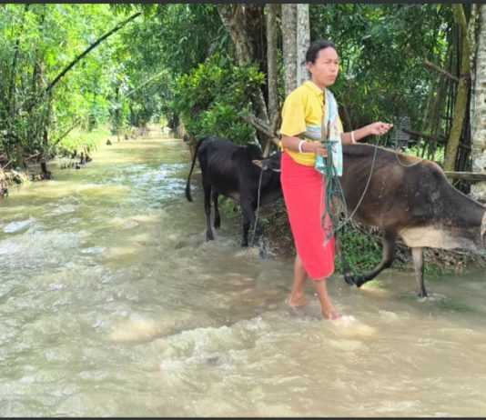 কালবৈশাখী ঝড় ও অতিবৃষ্টির ফলে বন্যায় তলিয়ে গেছে ফসল ও ঘরবাড়ি কালবৈশাখী ঝড় ও অতিবৃষ্টির ফলে বন্যায় তলিয়ে গেছে ফসল ও ঘরবাড়ি