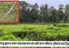 কমলগঞ্জে কুরমা চা বাগানে গাছের চারার বদলে ডাল কেটে রোপণে অভিযোগ: শ্রমিকদের মাঝে উত্তেজনা কমলগঞ্জে কুরমা চা বাগানে গাছের চারার বদলে ডাল কেটে রোপণে অভিযোগ শ্রমিকদের মাঝে উত্তেজনা